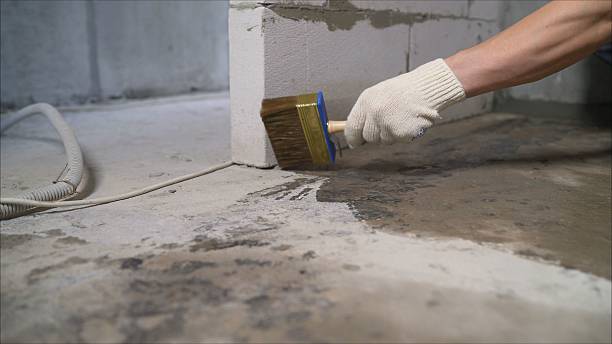 24/7 Emergency Crawl Space Encapsulation experts in Elmore, AL